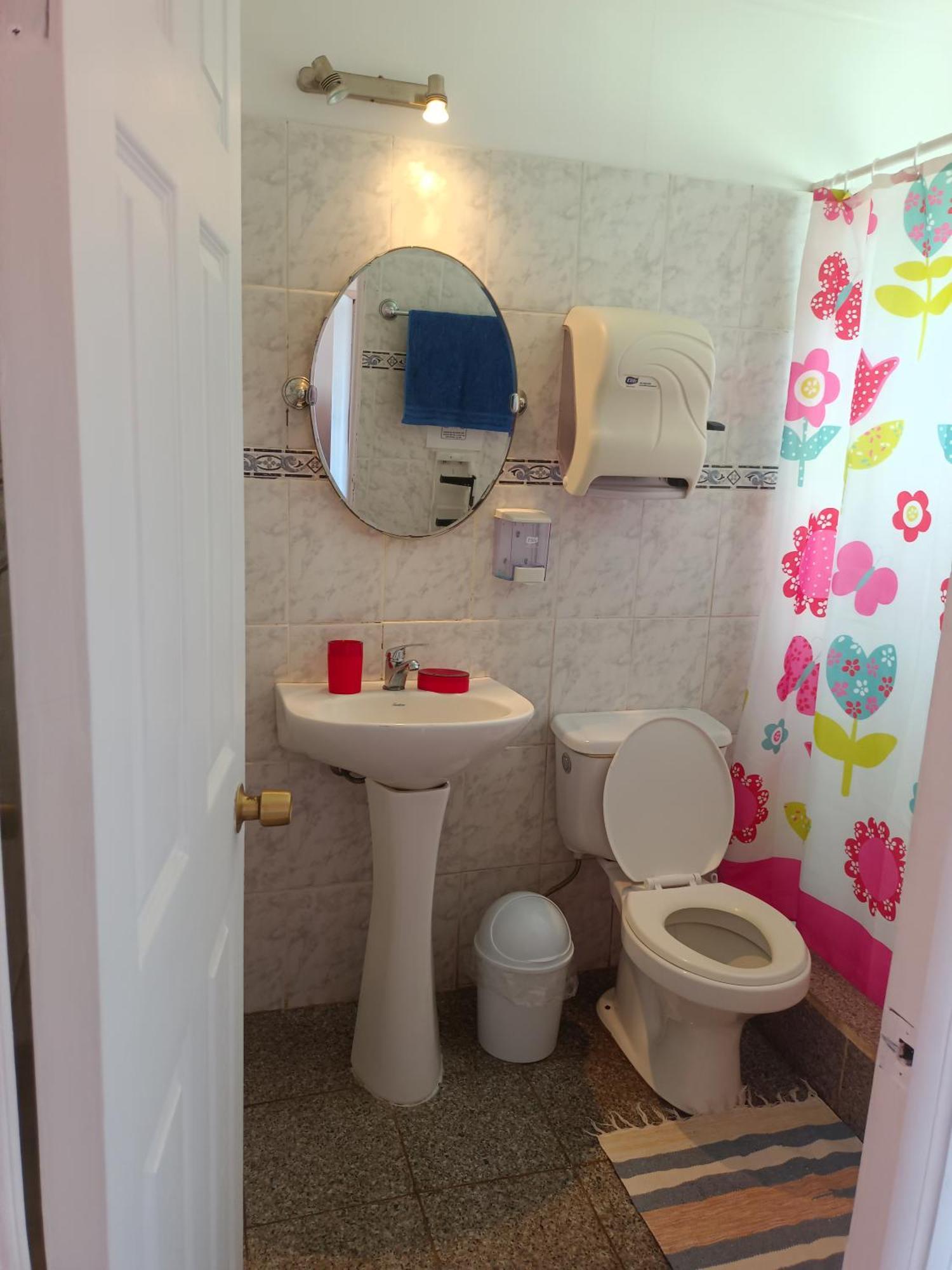 Cabanas Te Pito Kura 汉格罗阿 外观 照片